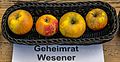 Geheimrat Wesener