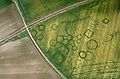 I cropmark del sito protostorico di Grézac (Francia) (1 febbraio 2015)