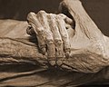 Hand of a mummy in Guanajuato, in Mexico