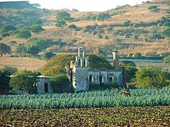 Hacienda agavera en Jalisco.