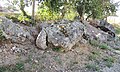 Dolmen des Gâts-Fleuris