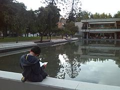 Niño leyendo junto a la pileta