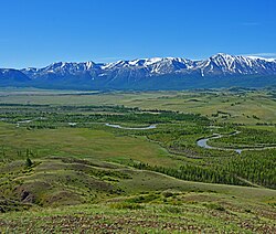 Vue d'ensemble de la steppe