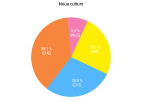 Autosomal DNA Noua Culture