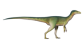 Nyasasaurus