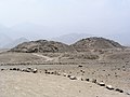 The Caral pyramids in the arid Supe Valley