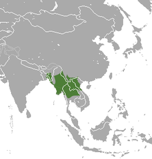 Carte d'Asie du sud est avec une tache verte centrée sur la Tailande et la Birmanie