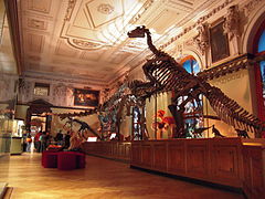 Una de las salas del Museo de Historia Natural de Viena.
