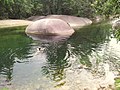 Swimming in Babinda Creek, upstream from the main recreation area