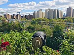 Rooftop garden