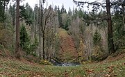 The creek valley in the sensitive area that is still recovering in 2020 from the 1999 explosion