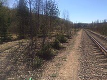 Разобранный боковой путь. Вид в сторону ст. Бородинское.