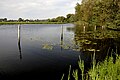 De Piereput, Teil der 'alten Leie' im Naturreservat Assels