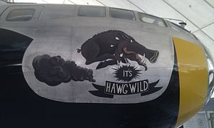 B-29 Superfortress It's Hawg Wild nose art, 2012