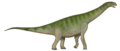 Barapasaurus