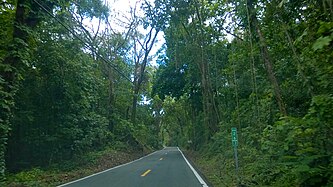 Heading west in Cordillera, Ciales