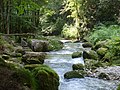 Mountain streams