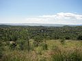 Blick auf Windhoek vom Park