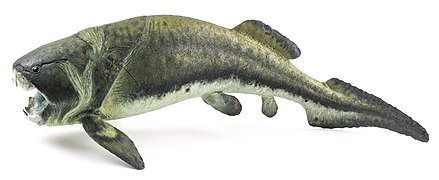 Dunkleosteus, девонски плакодерм, можеби првиот суперграбливец на ’рбетници во светот, реконструкција