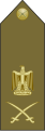 צבא מצרים - لواء (ליווא)