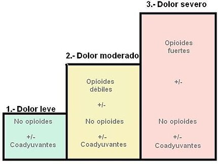 Escalas de dolor 1º Escalón (dolor leve): no opioides +/- coadyuvantes 2º Escalón (dolor moderado): opioides débiles +/- no opioides +/- coadyuvantes 3º Escalón (dolor severo): opioides fuertes +/- no opioides +/- coadyuvantes