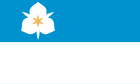Flag of Salt Lake City, Utah