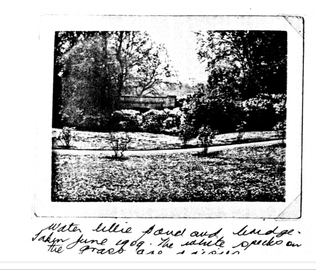 Gardens at Swainston 1909