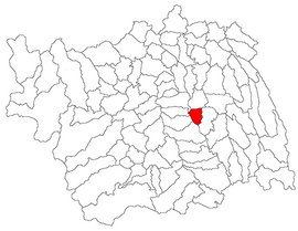 Location in Bacău County