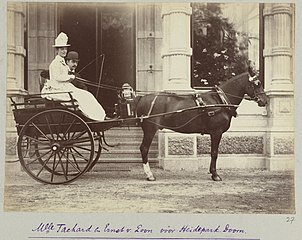 Pony and cart (Netherlands, 1888)