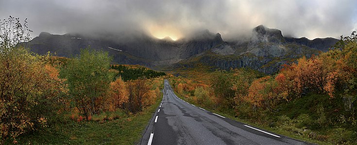 Scandinavian coastal conifer forests, by Ximonic