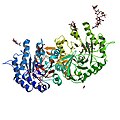 The enzyme alpha-galactosidase A (α-GalA)