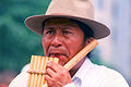 Image 30An Indigenous man playing a panpipe, antara, or siku (from Indigenous peoples of the Americas)