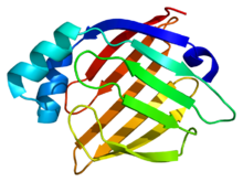 Structure of one of the FAB proteins known as Heart-type fatty acid binding protein.