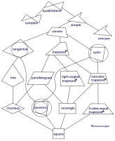 Diagramme de Hasse de différents types de quadrilatères.