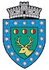 Coat of arms of Neaua