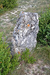 Menhir des Barasques no 1