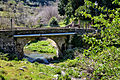 Pont de Vescovato sur le Cintrone.