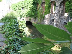 La rivière Thyle passant dans les ruines de l'abbaye.