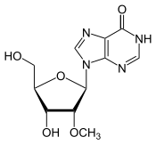 Image illustrative de l’article 2'-O-Méthylinosine