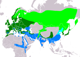 Ареал A. nisus      гніздування      осіле проживання      зимування      Passage