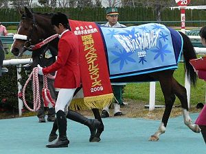 2009年冠軍「夏威夷鳥」