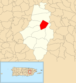 Location of Caguas barrio-pueblo within the municipality of Caguas shown in red