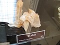 Calcite crystal from Trebević on display at the museum