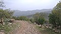 Image 22Iranian oak scrub in the Zagros Mountains (from Montane ecosystems)