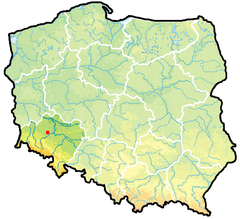 Localização de Chojnów na Polónia