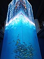 Digital 360 degree fish tank at Bangabandhu museum