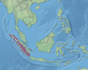 Ecoregion territory (in purple)