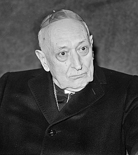 Image illustrative de l’article József Mindszenty