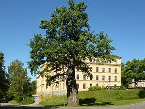 Kungseken och Manillaskolan, sommaren 2012.