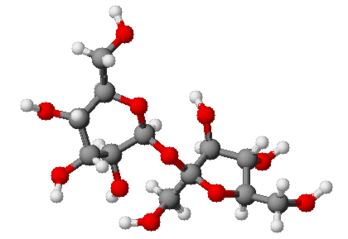 Représentation schématique d’une molécule de saccharose. (définition réelle 420 × 289*)